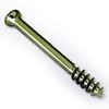 Titanium Screws